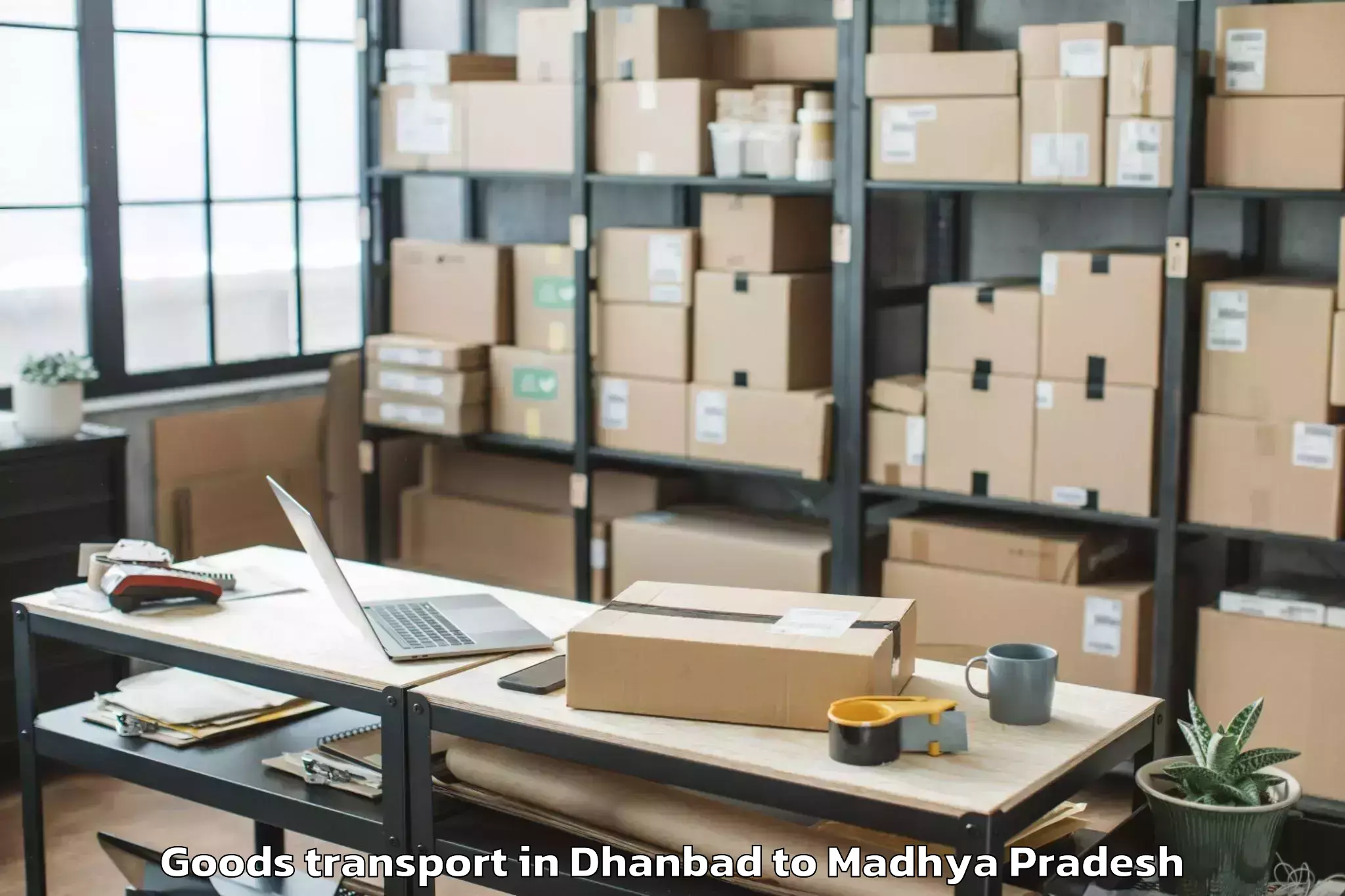 Easy Dhanbad to Maharaja Chhatrasal Bundelkhan Goods Transport Booking